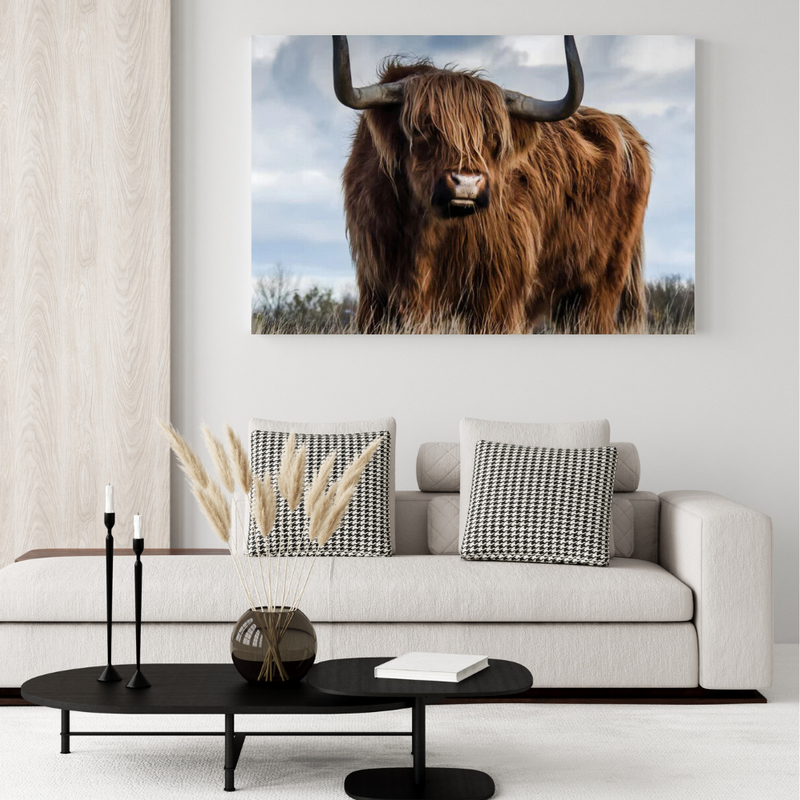 HIGHLAND COW CANVAS COLLECTION - Unframed Prints