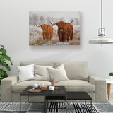 HIGHLAND COW CANVAS COLLECTION - Unframed Prints